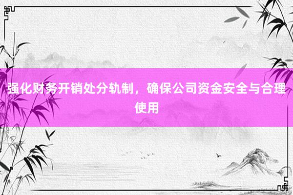 强化财务开销处分轨制，确保公司资金安全与合理使用